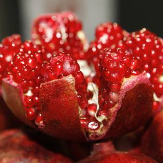 Pomegranate fruit desktop wallpaper
