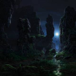 Dark plant desktop wallpaper