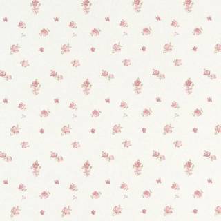Pink coquette wallpaper