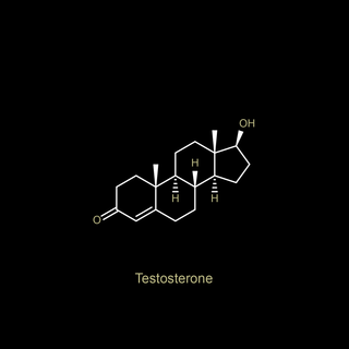 Testosterone wallpaper