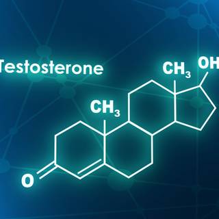 Testosterone wallpaper