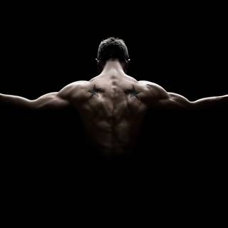 Testosterone wallpaper