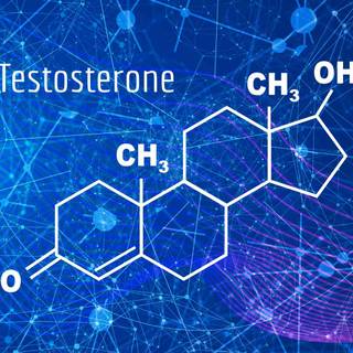 Testosterone wallpaper