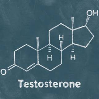 Testosterone wallpaper