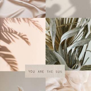 Aesthetic set wallpaper