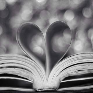 White and black Valentine wallpaper