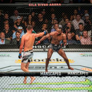 Leon Edwards wallpaper