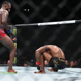 Leon Edwards wallpaper