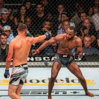 Leon Edwards wallpaper