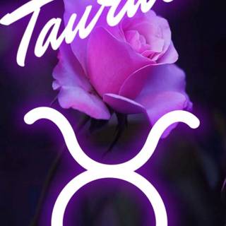 Cute Taurus wallpaper