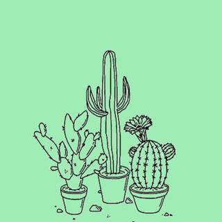 Cute Taurus wallpaper