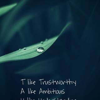 Cute Taurus wallpaper