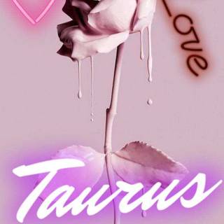 Cute Taurus wallpaper