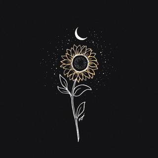Black sunflower wallpaper