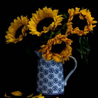 Black sunflower wallpaper