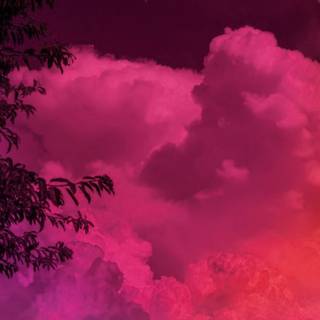 Magenta aesthetic wallpaper