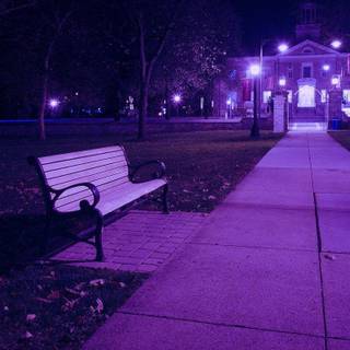 Magenta aesthetic wallpaper