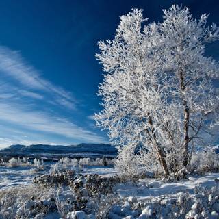 4k winter sky wallpaper