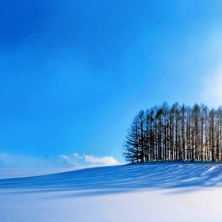 4k winter sky wallpaper