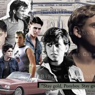 Dally The Outsiders wallpaper