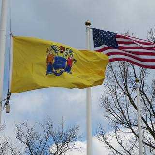 Flag of New Jersey wallpaper