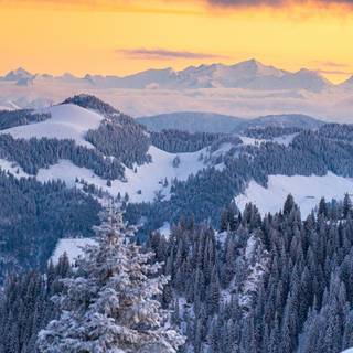 Landscape winter phone wallpaper