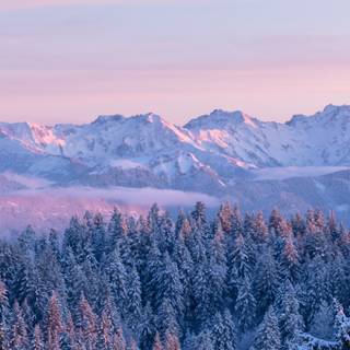 Landscape winter phone wallpaper