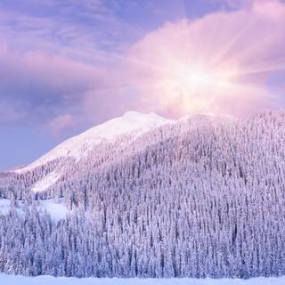 Landscape winter phone wallpaper