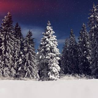 Winter night sky iPhone wallpaper