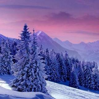 Landscape winter phone wallpaper