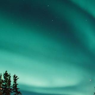 Winter night sky iPhone wallpaper