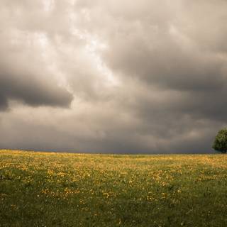 Dark spring sky wallpaper