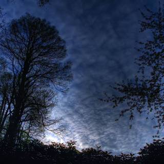 Dark spring sky wallpaper