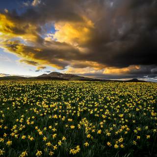 Dark spring sky wallpaper
