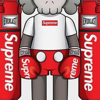Kaws Supreme wallpaper