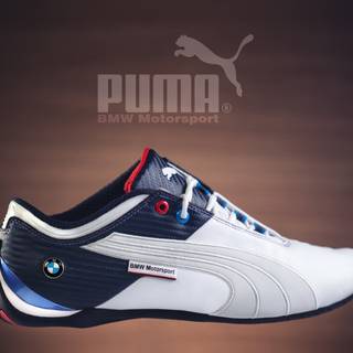 Puma sneakers wallpaper