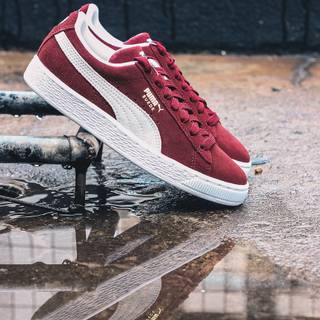 Puma sneakers wallpaper