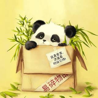 Funny pandas wallpaper