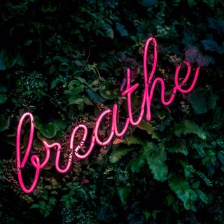 Neon leaves 4k wallpaper