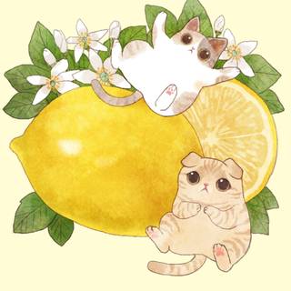 Cute lemon wallpaper