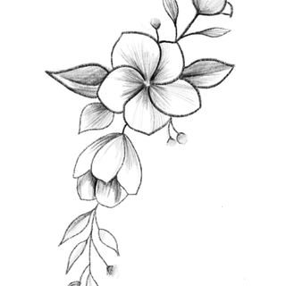 Flower drawing journal wallpaper