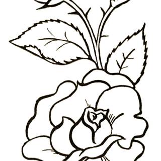 Flower drawing journal wallpaper