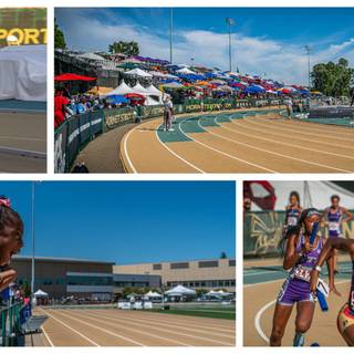 Track and field collage wallpaper