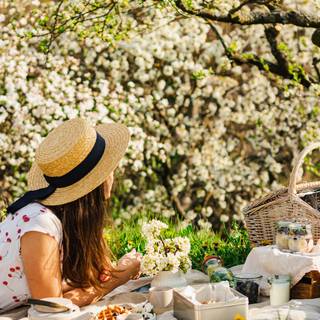 Spring picnic wallpaper