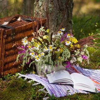 Spring picnic wallpaper