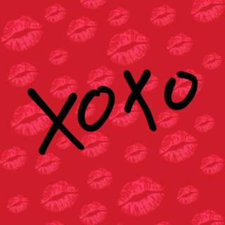 Cute Valentine xoxo wallpaper