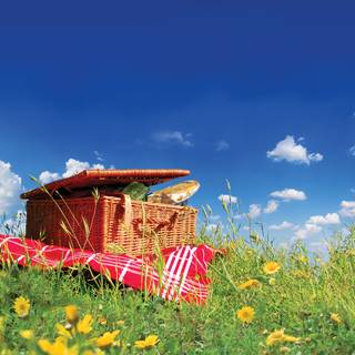Spring picnic wallpaper