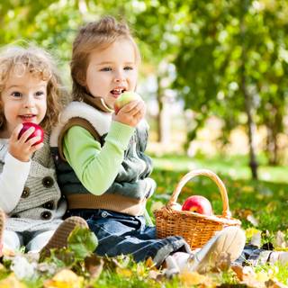 Spring picnic wallpaper