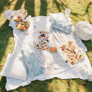 Spring picnic wallpaper