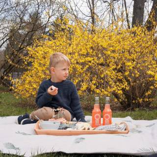 Spring picnic wallpaper